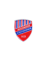 Pins herb srebrny (alpaka)