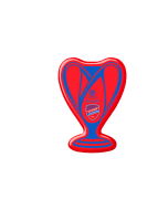 Magnes - Puchar Polski